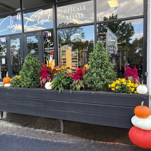 Meet your Posher, Kristine - Picture 5 of 7